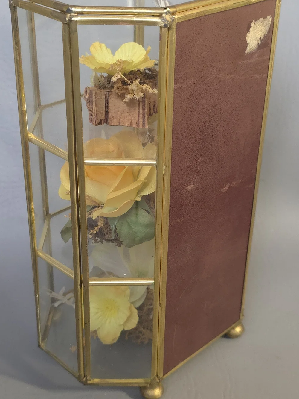 Mid Century Vintage Butterfly Taxidermy Floral In Brass And Glass Curio Cabinet